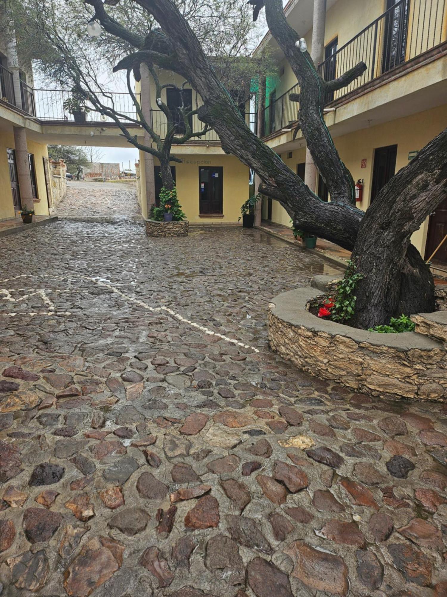Hotel Villa Aurora Bernal Dış mekan fotoğraf