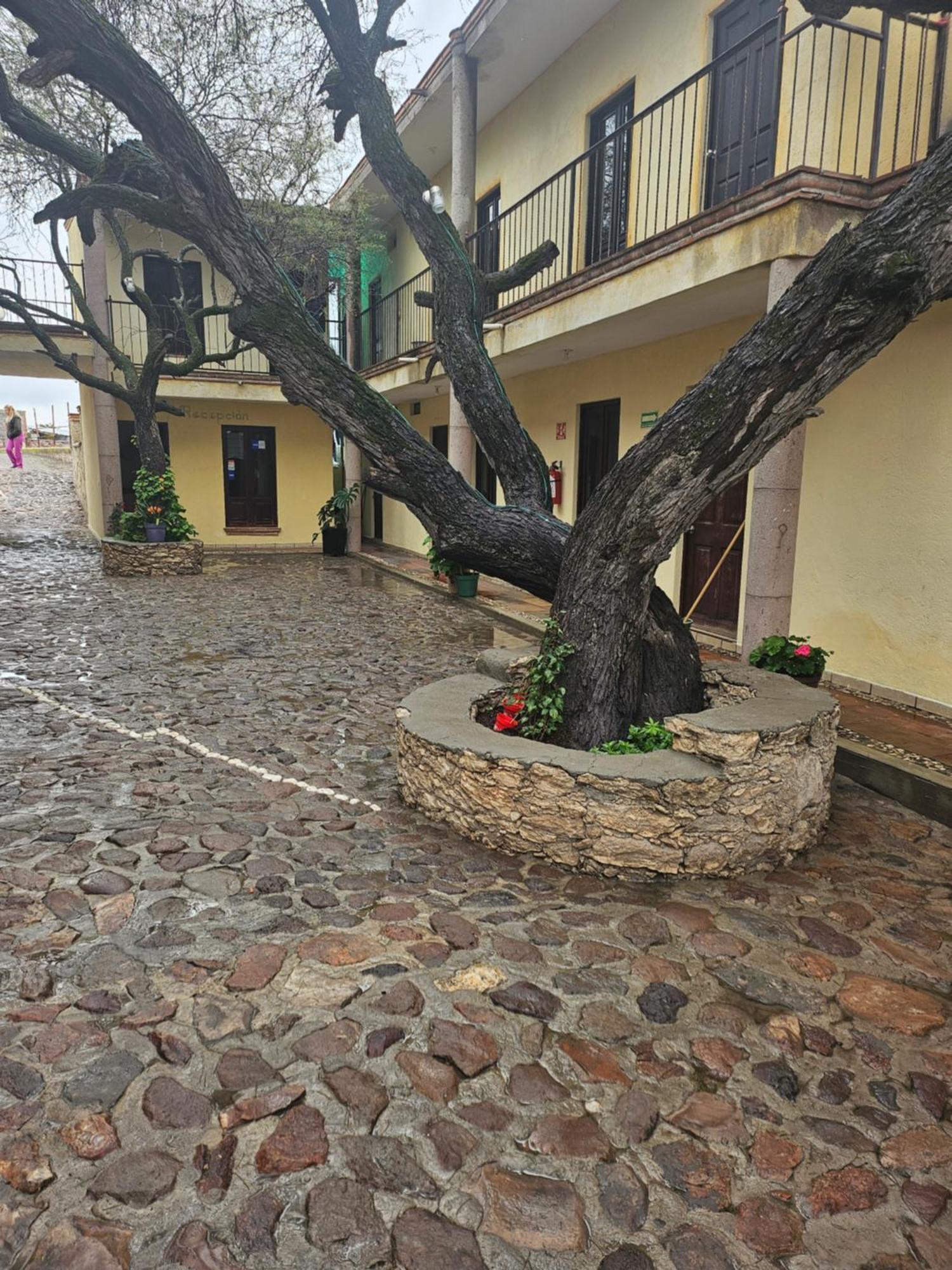 Hotel Villa Aurora Bernal Dış mekan fotoğraf